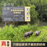 京觅 恩施黑猪中排2斤*2袋 土猪肉排骨特色农产品生鲜食材源头直发包邮