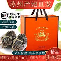 阳澄近台大闸蟹 鲜活特大螃蟹公蟹母蟹海鲜水产生鲜礼盒 精挑六月黄3.0-3.3两 八只礼盒装 苏州精挑蟹高档礼盒
