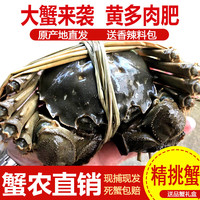 阳澄小斌 大闸蟹 鲜活精挑特大螃蟹公蟹母蟹生鲜水产礼盒 精品六月黄3.0-3.3两 八只礼盒装 公4.0-4.3两母蟹3.0-3.3两 八只