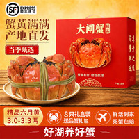阳澄迦大闸蟹 鲜活公母大螃蟹 六月黄海鲜水产生鲜礼盒装 精品六月黄生鲜礼盒3.0-3.3两8只