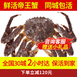 喵和渔 鲜活帝王蟹 俄罗斯进口大螃蟹海鲜阿拉斯加帝王蟹 3.6-4斤/一只 （鲜活发货）