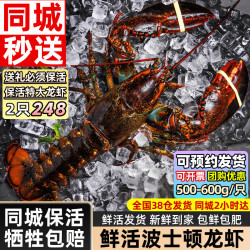 海仙津 波士顿龙虾鲜活波龙 大龙虾鲜活虾类礼盒大虾年货礼盒 500-600g 波龙*2只净重