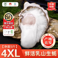 百鲜洽 乳山生蚝鲜活特大牡蛎带壳生吃海蛎子新鲜海鲜水产贝类聚会烧烤 4XL带箱5斤(约10-13只)