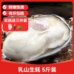 东上御品 乳山生蚝 鲜活新鲜特大 海蛎子 带箱5斤海鲜 牡蛎 整箱批发 6XL