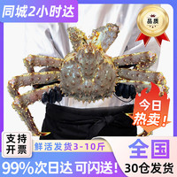 鲜味时刻 俄罗斯帝王蟹 4.6-5.0斤/整只