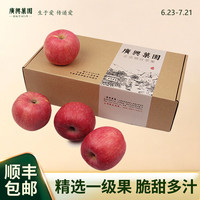 广兴果园 山东红富士苹果烟台特产生鲜生鲜节日水果礼盒礼品福利 85mm8颗