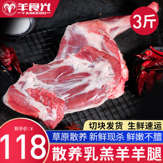 羊食光 羊排新鲜羊肉羊肋排10斤冷冻生鲜羔羊排手抓羊肉烧烤手把羊肉礼盒 羊前腿3斤切块