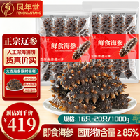 凤年堂 大连即食海参 新鲜辽刺参 冷冻海参 海鲜水产年货节特产礼盒装 2斤家庭装(16-20只)
