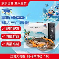 掌昕鲜 三门青蟹 红膏大母蟹（8-9两/只）1只 生鲜活螃蟹海鲜水产礼盒非帝王蟹 巨蟹款 大母蟹（8-9两/只）1只