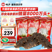 晓芹 大连冷冻即食海参300g 7-10只 辽刺参 海鲜水产