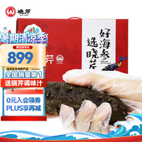 晓芹 大连冷冻即食海参 1000g 6-12只