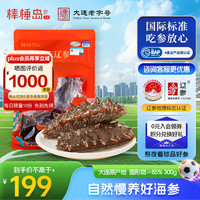 棒棰岛 大连有机海参1500g海鲜水产3斤非即食辽参中秋礼盒辽刺参 300g 7-9只简装 冷冻海参 300g 7-9只简装