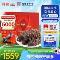 棒棰岛 Bangchuidao 棰岛 大连生鲜海参 2500g 礼盒 50-60只