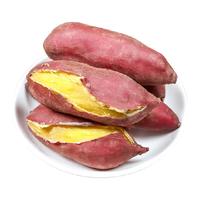 薯小萌 天目山板栗红薯