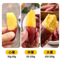 薯小萌 天目山板栗红薯 大果 新鲜现挖
