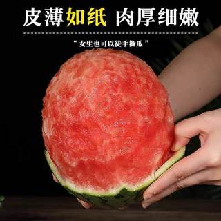 果果 山东2K小西瓜 薄皮红肉脆甜 生鲜水果
