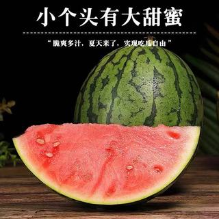 果果 山东2K小西瓜 薄皮红肉脆甜 生鲜水果