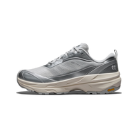 KOLON SPORT LKFH6AN040 女士徒步鞋 V底缓震 银灰 37