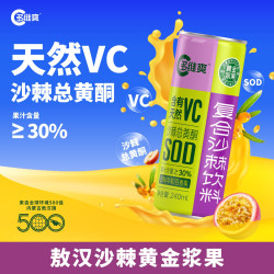 多维爽 内蒙古特产沙漠之花 多维爽沙棘汁天然VC果汁饮料240ml*12罐 礼盒款