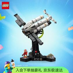 乐高 儿童积木玩具
