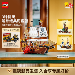 乐高 积木31387海盗船拼装玩具 新品 生日礼物
