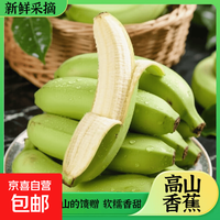 京喜加 高山香蕉正宗当季水果青皮现摘绿皮新鲜应季骐鲜园16 高山香蕉带箱2斤