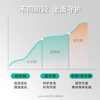 杨医生 复合维生素B片 宠物营养补充剂 猫狗通用