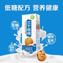 六个核桃 核桃乳饮料 6000ml 250ml*24盒