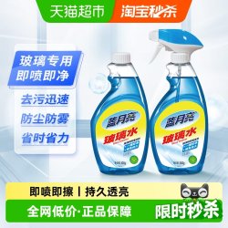 蓝月亮 玻璃水 清洁剂 500g*2