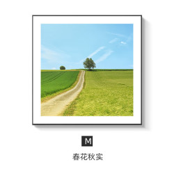 艾风格现代简约小清新风景装饰画客厅背景墙餐厅壁画卧室酒店玄关挂画 M款-春华秋实 60*60 升级P