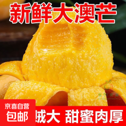 京东 精选澳芒 （自产自销）当季爆品 商超品质 一件也批发 含箱10斤中果净重9斤