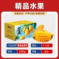百亿补贴：双苑 海南 金煌芒大芒果 9斤