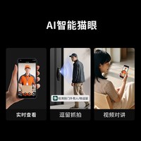 龙霆 A1F 人脸猫眼指纹密码远程智能门锁 碳素结构钢+ABS A1F