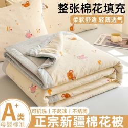 A类母婴级双层纱棉花夏被 150x200cm