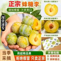 淳果一木 CHUNGUO 淳果一木 河南蜂糖李 2斤装