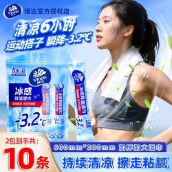 维达 降温湿巾 10片*1包