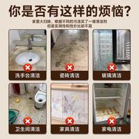 丽能 多功能泡沫清洁剂大扫除清洁神器瓷砖地板卫生间浴室玻璃清洗剂器