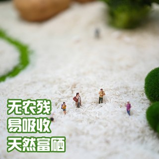 吉内得 富硒丝苗米 长粒香籼米