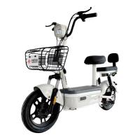 驰小虎 吉祥虎电动自行车 新国标 48V12Ah铅酸电池长续航