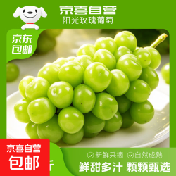 阳光玫瑰 云南晴王香印葡萄 4斤带箱 净重3-3.6斤 单果6g