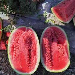 宁夏中卫硒砂瓜 12-14斤 新鲜石缝大西瓜