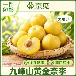 京觅 九峰山黄金奈李 3斤 单果90g+ 新鲜脱骨李子