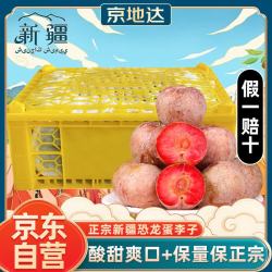 京地达 Jingdida 京地达 新疆恐龙蛋李子 2.7斤 单果80g 冷藏 箱装+恐龙蛋