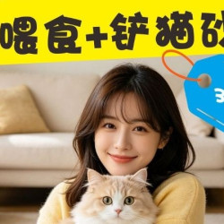 [基础上门喂猫3只] 喂养+铲屎 30分钟