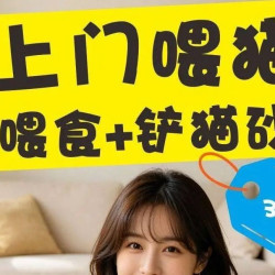 [基础上门喂猫]喂养+铲屎30分钟｜1只