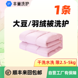 大豆/羽绒被洗护1条杀菌除螨（限2.5-5kg）