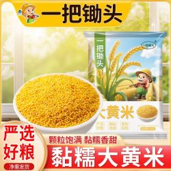 一把锄头 大黄米粘米黍米粘糯大黄米 250g