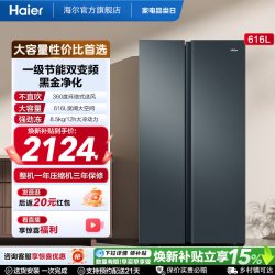 海尔 盛宴系列 BCD-616WGHSSEDC9 风冷对开门冰箱 616L 烟青色