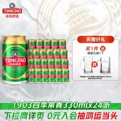 青岛啤酒 经典10度啤酒