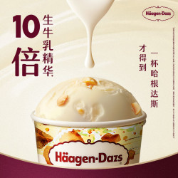 哈根达斯 夏威夷果仁冰淇淋 81g